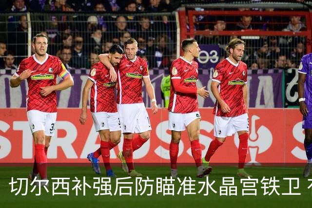 切尔西补强后防瞄准水晶宫铁卫 有合适报价可出售查洛巴