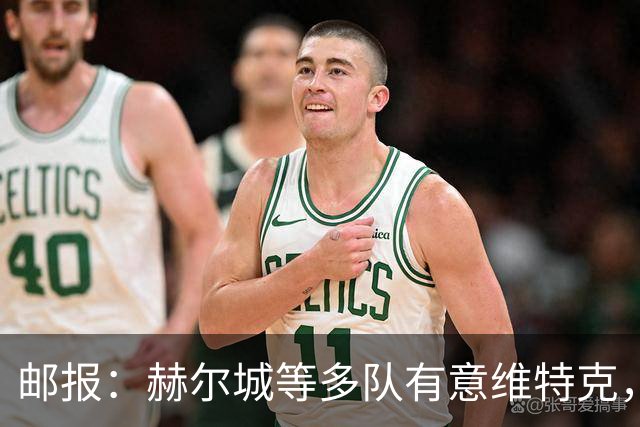 邮报：赫尔城等多队有意维特克，曼联对出售他持开放态度